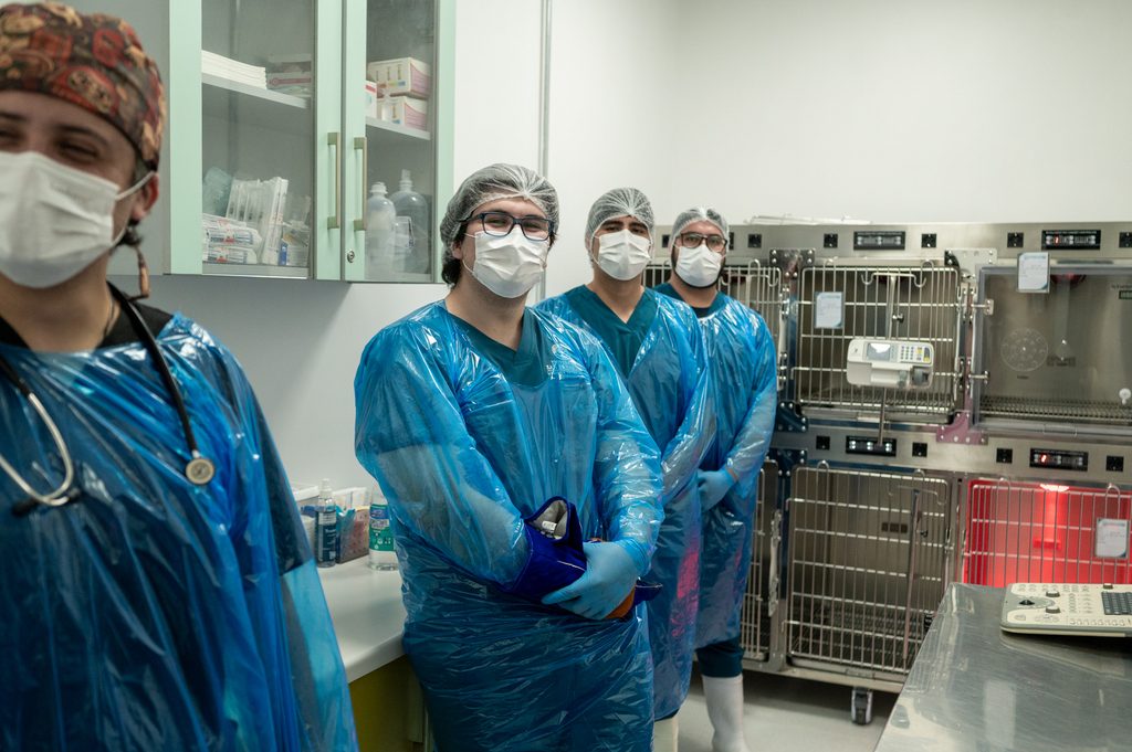 Nuevas instalaciones del Hospital Clínico Veterinario de la Universidad San Sebastián en Concepción